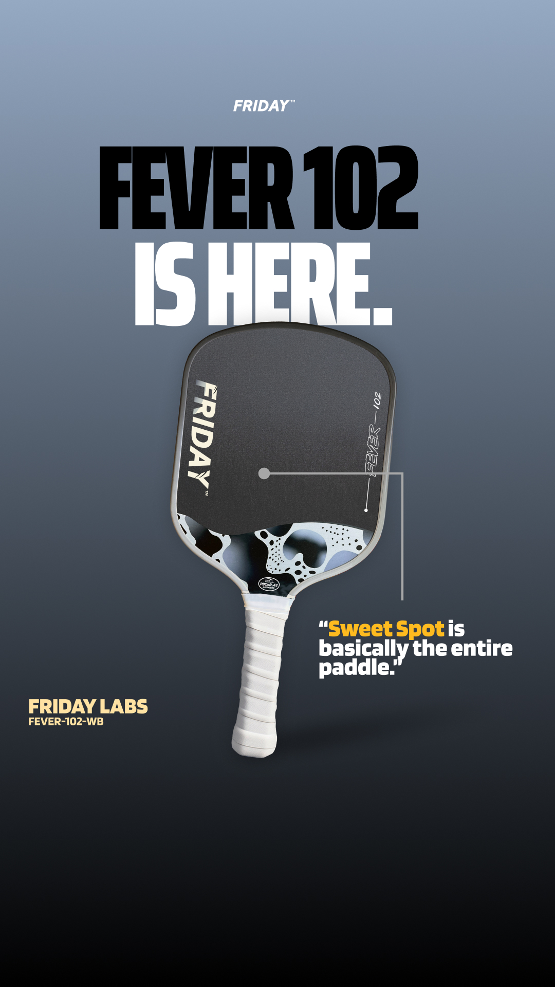 Friday Pickleball Facebook ad