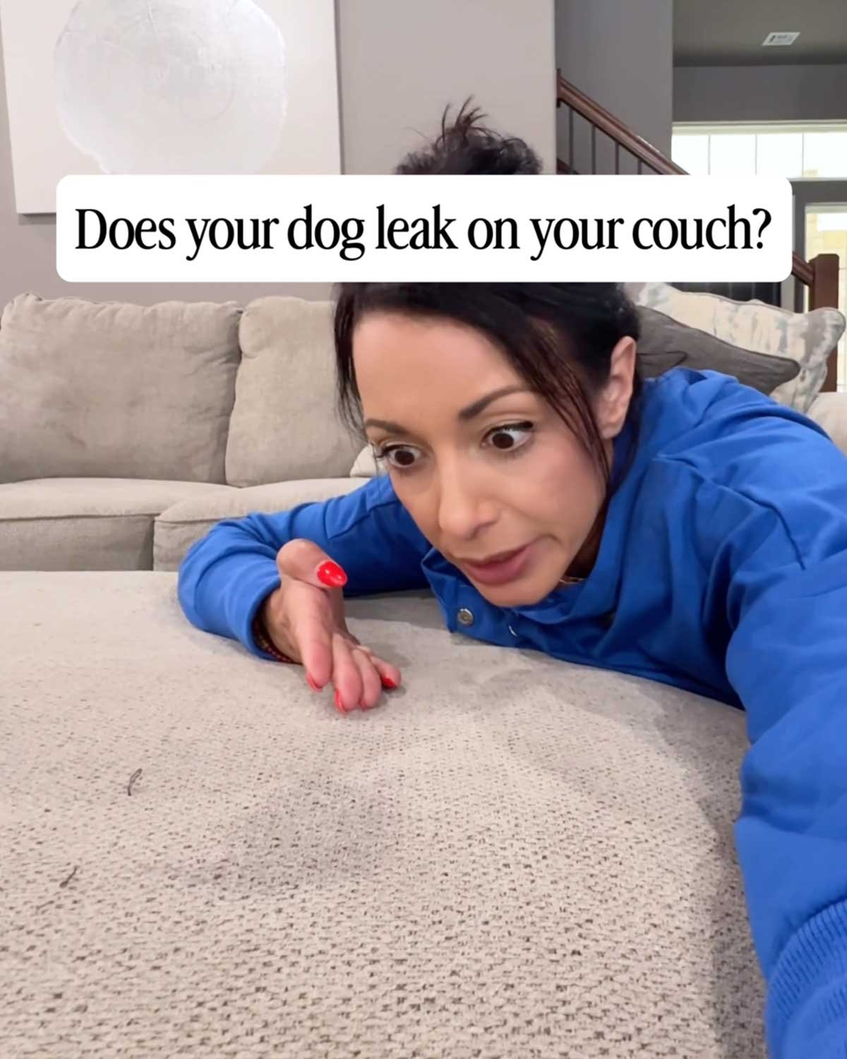 Wilderdog Facebook ad: Wilderdog Waterproof Dog Blanket