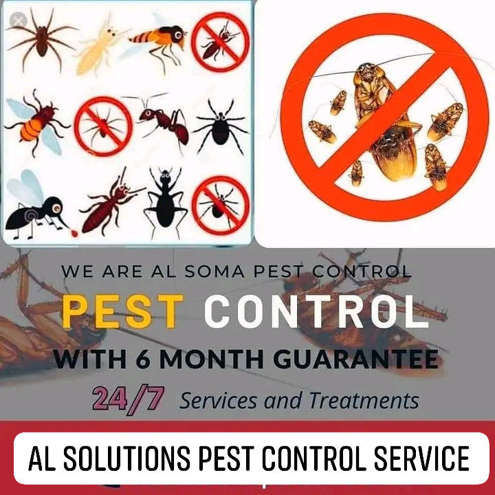 Al pest solution control services Facebook ad: https://wa.me/message/YIAMXSSW2NXNL1