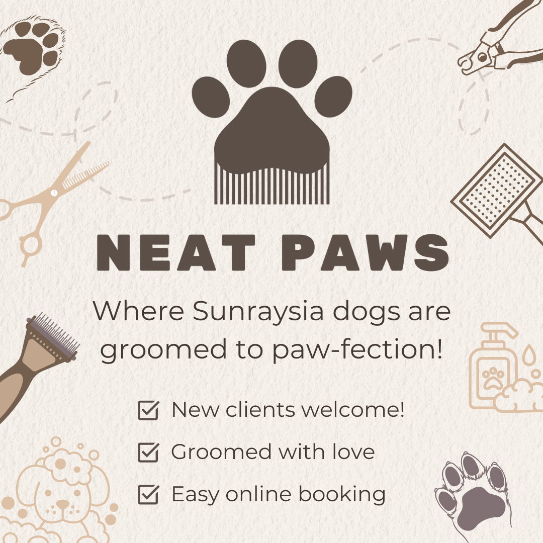 π‘πππ§ π£ππͺπ¦ Facebook ad: From Scruffy to Fluffy!