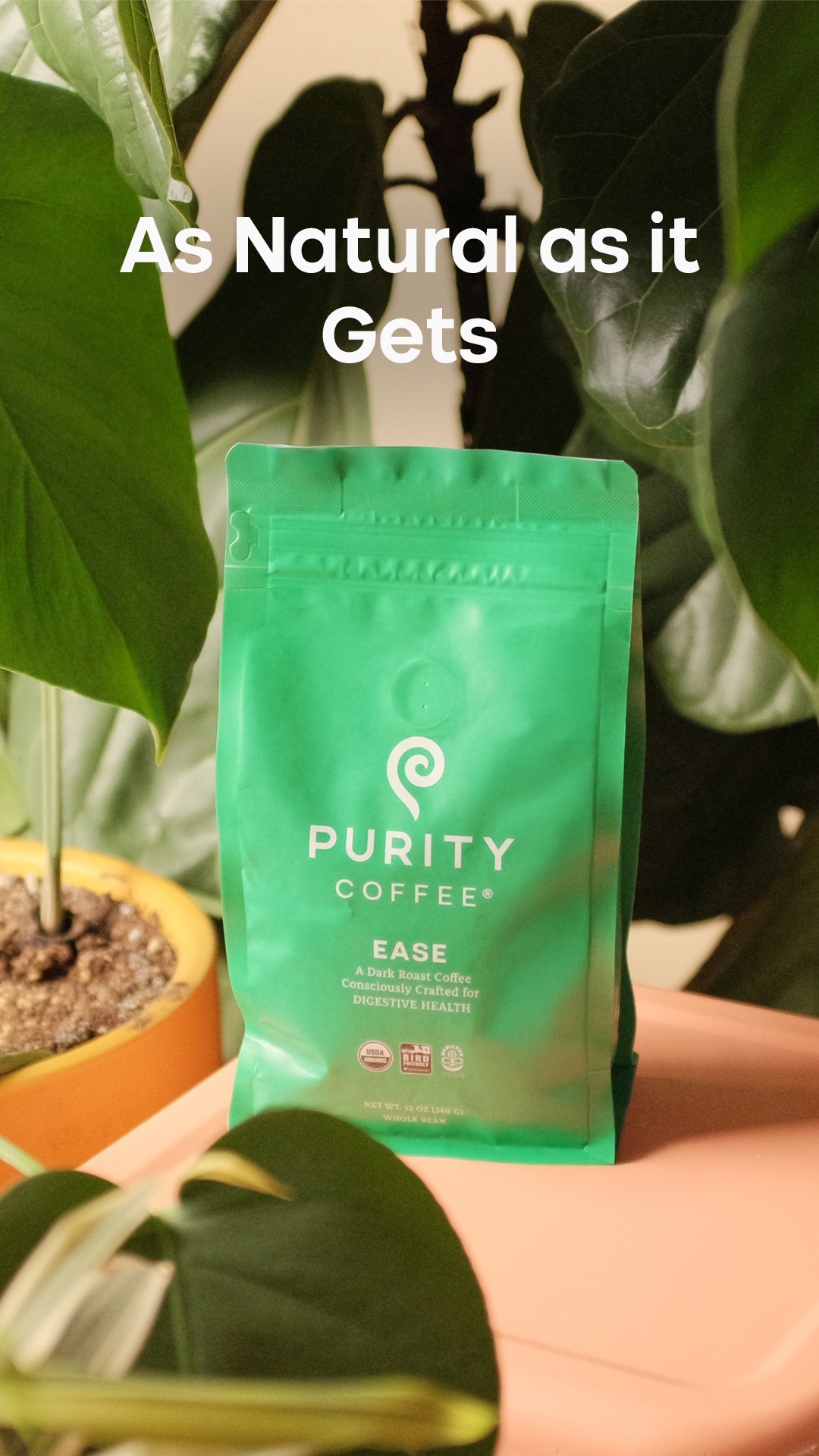 Purity Coffee Facebook ad
