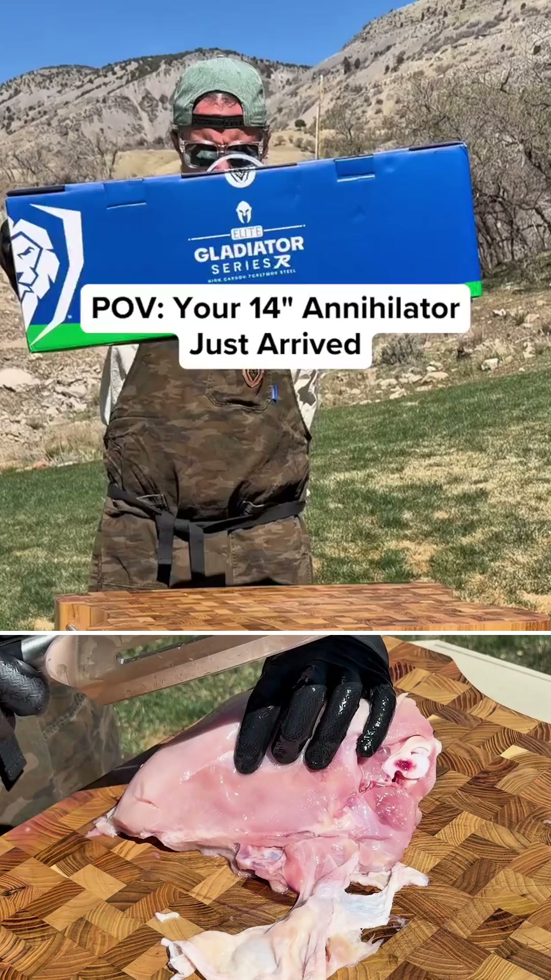 Dalstrong Facebook ad: Annihilator Meat Cleaver with Stand 14 | Gladiator Series…