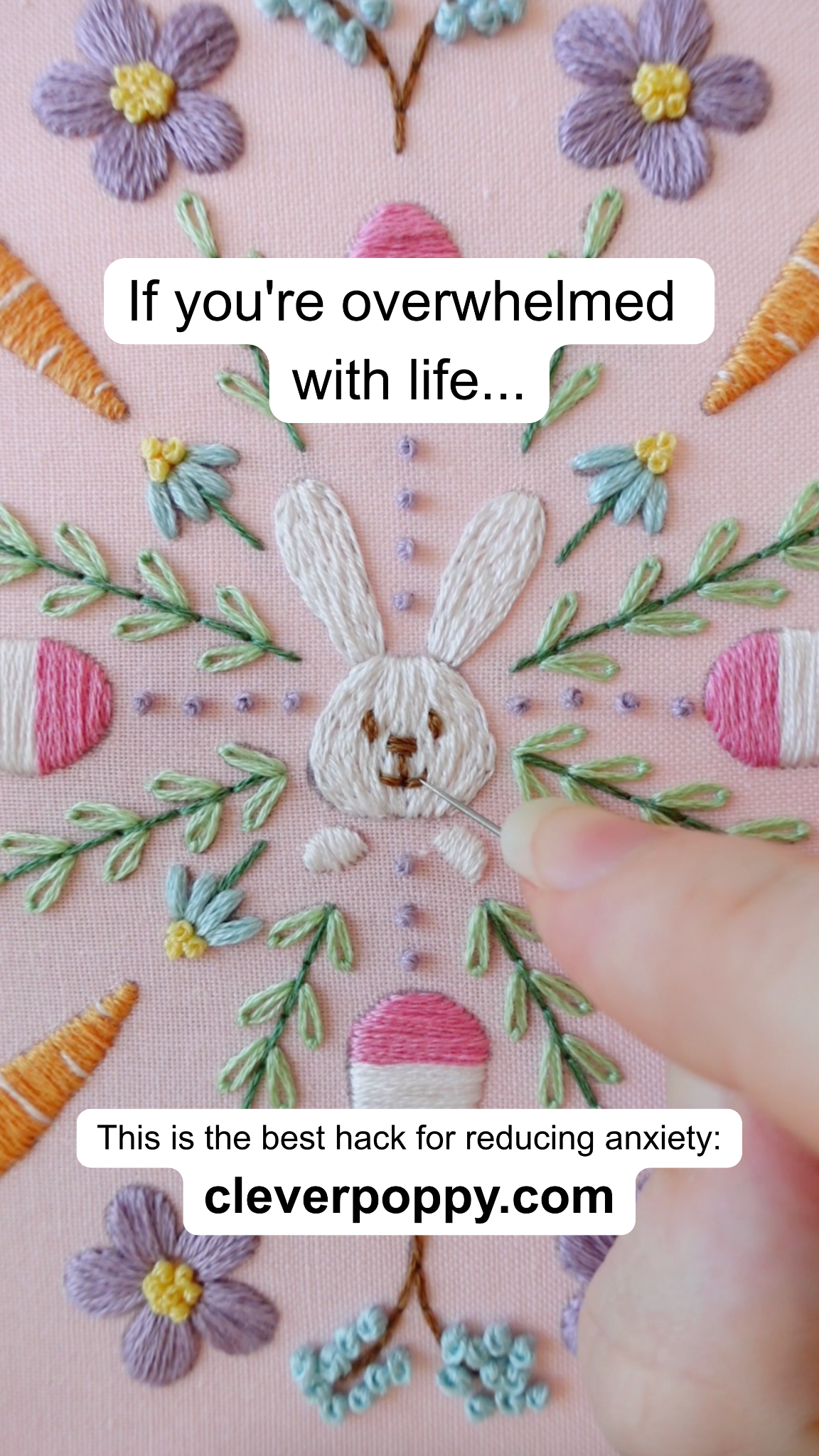 Clever Poppy Facebook ad