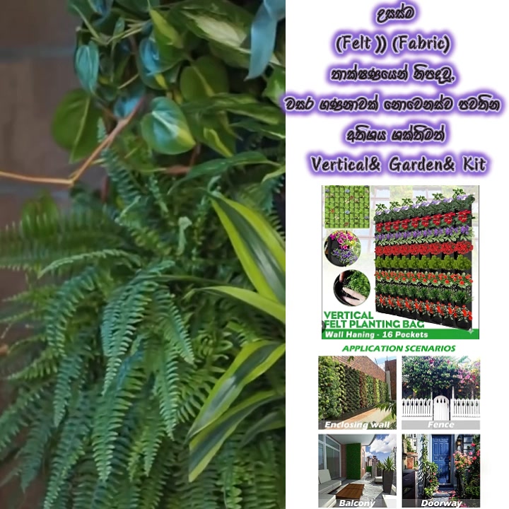 E-BuY Facebook ad: 18 Pocket Vertical Garden Growing Kit, RS- 2250/=
