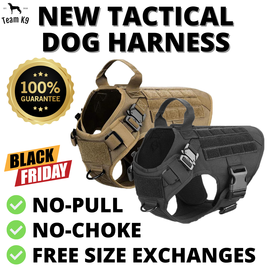 Team K9 Facebook ad