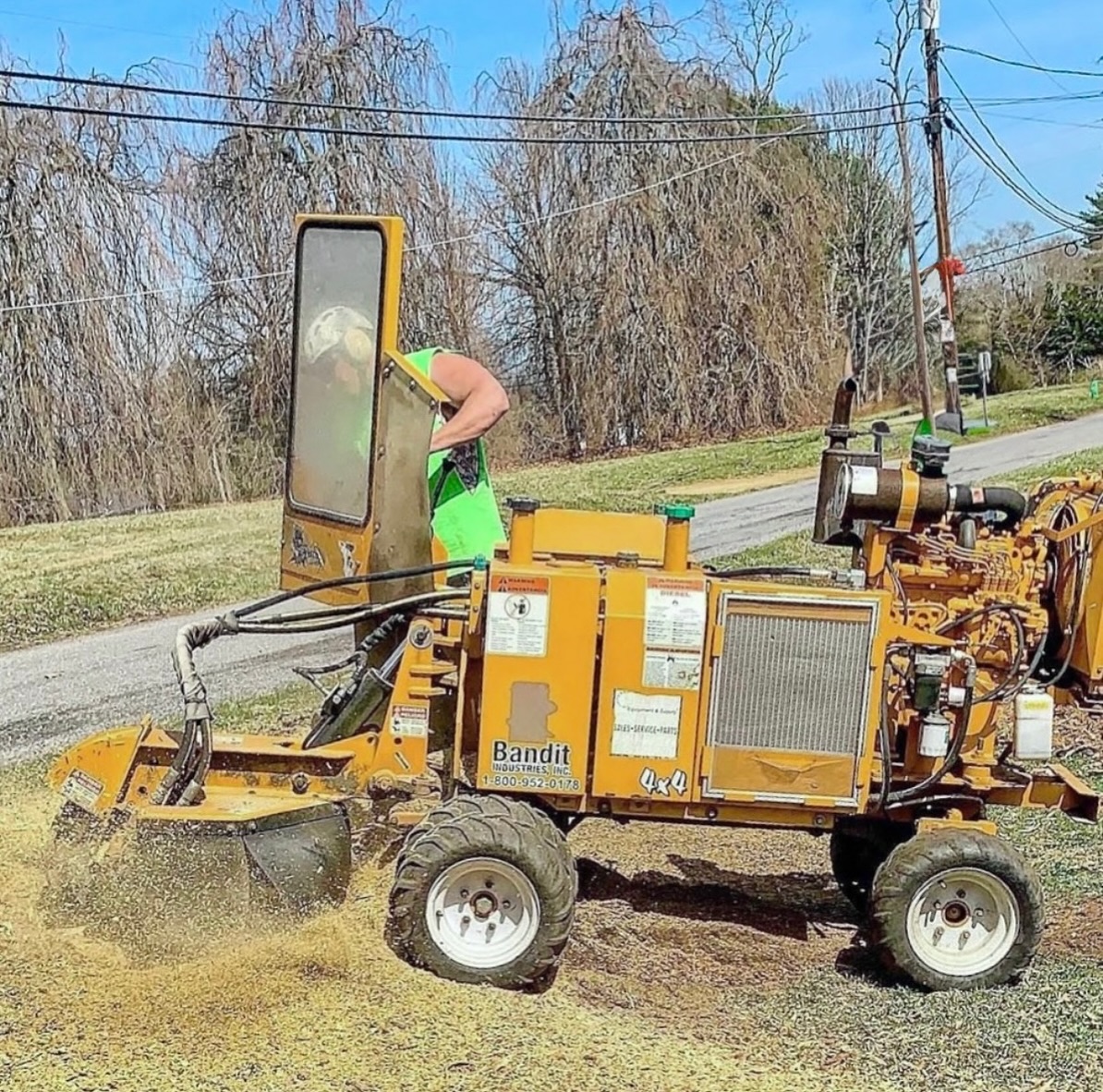 Treeco Solutions - Expert Arborist Facebook ad