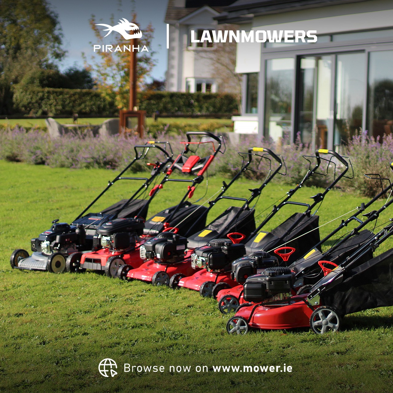 ISE Forest and Garden Facebook ad: Are you on the market for a new…