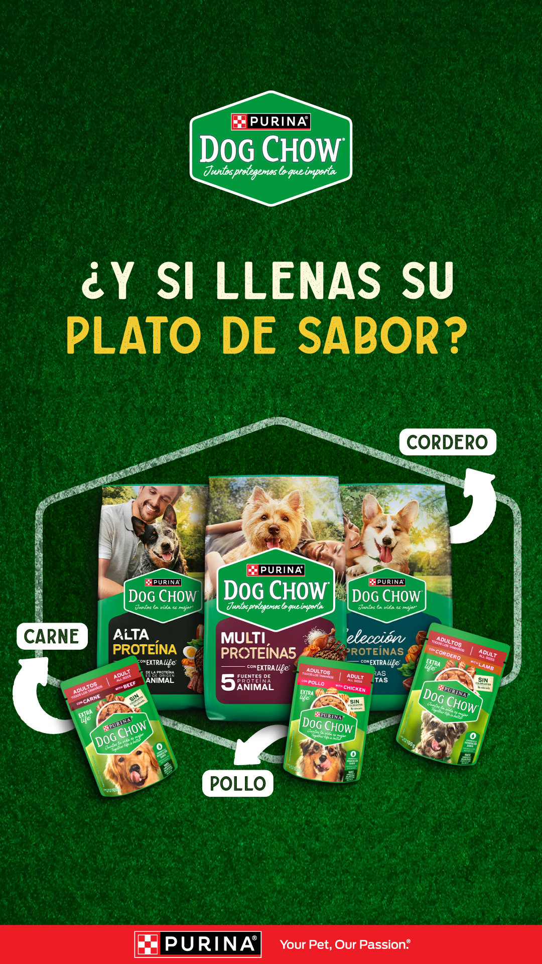 Purina Dog Chow Centroamérica Facebook ad