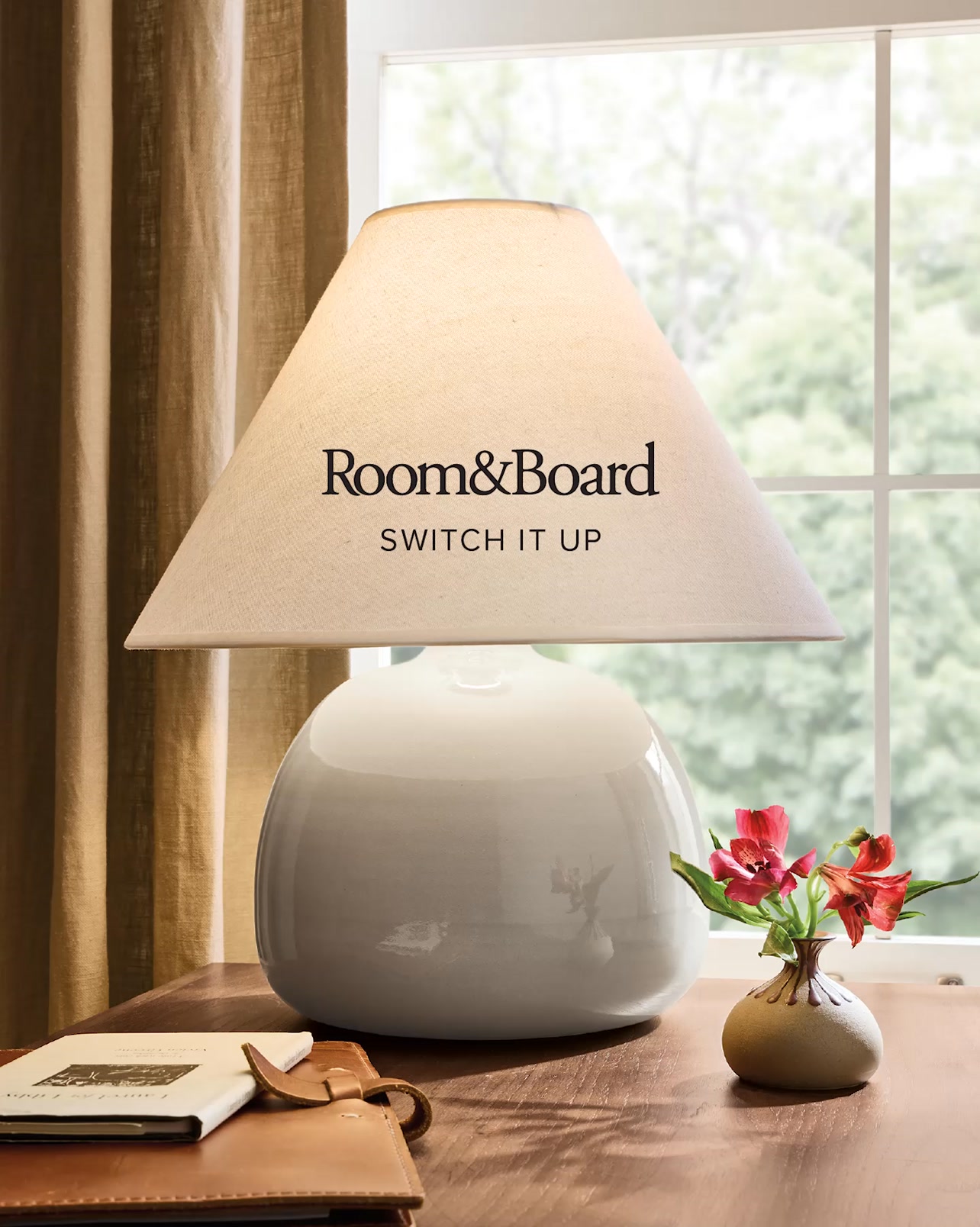 Room & Board Facebook ad: The Art of Lighting