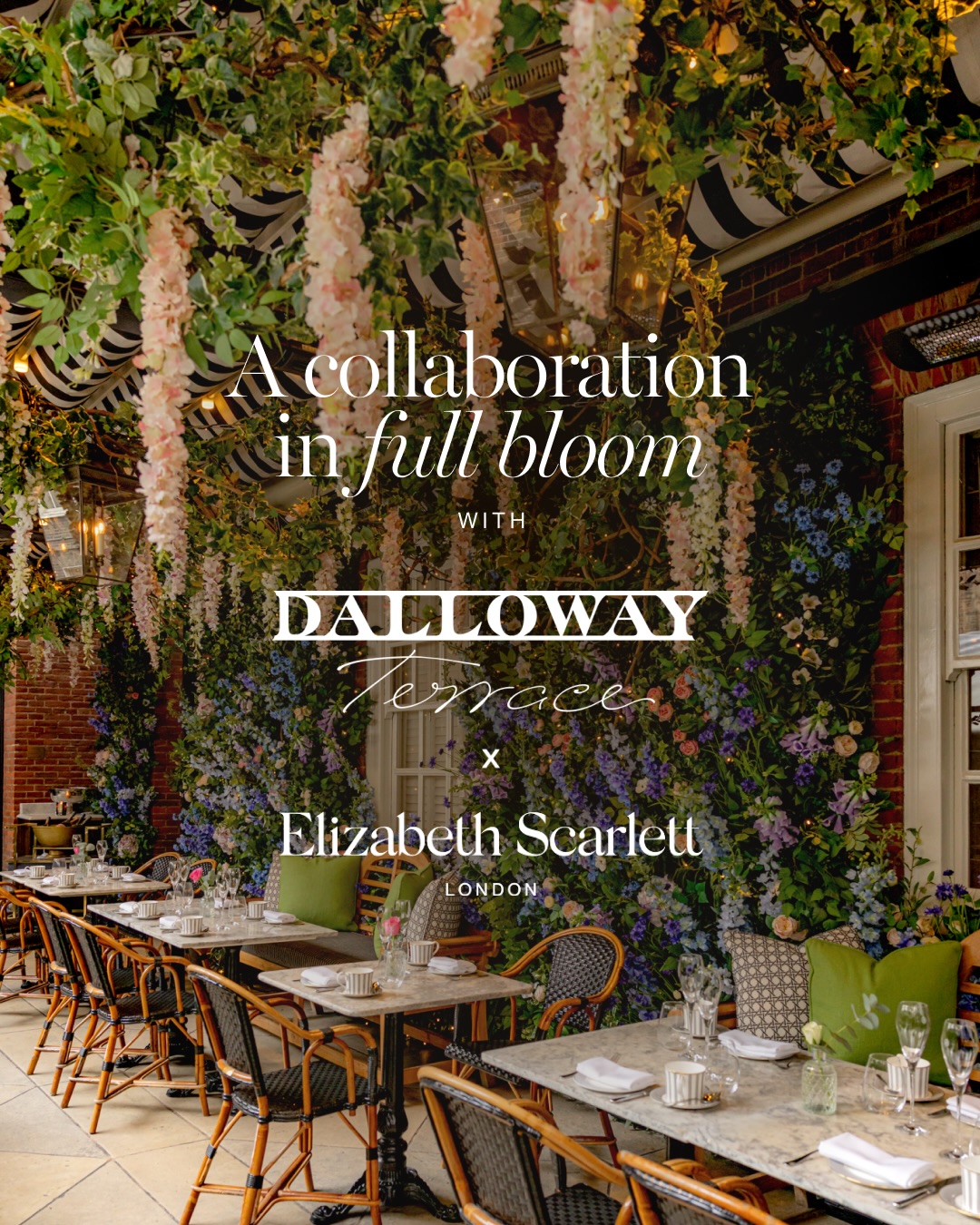 Dalloway Terrace Facebook ad: We’re excited to share our latest collaboration with…