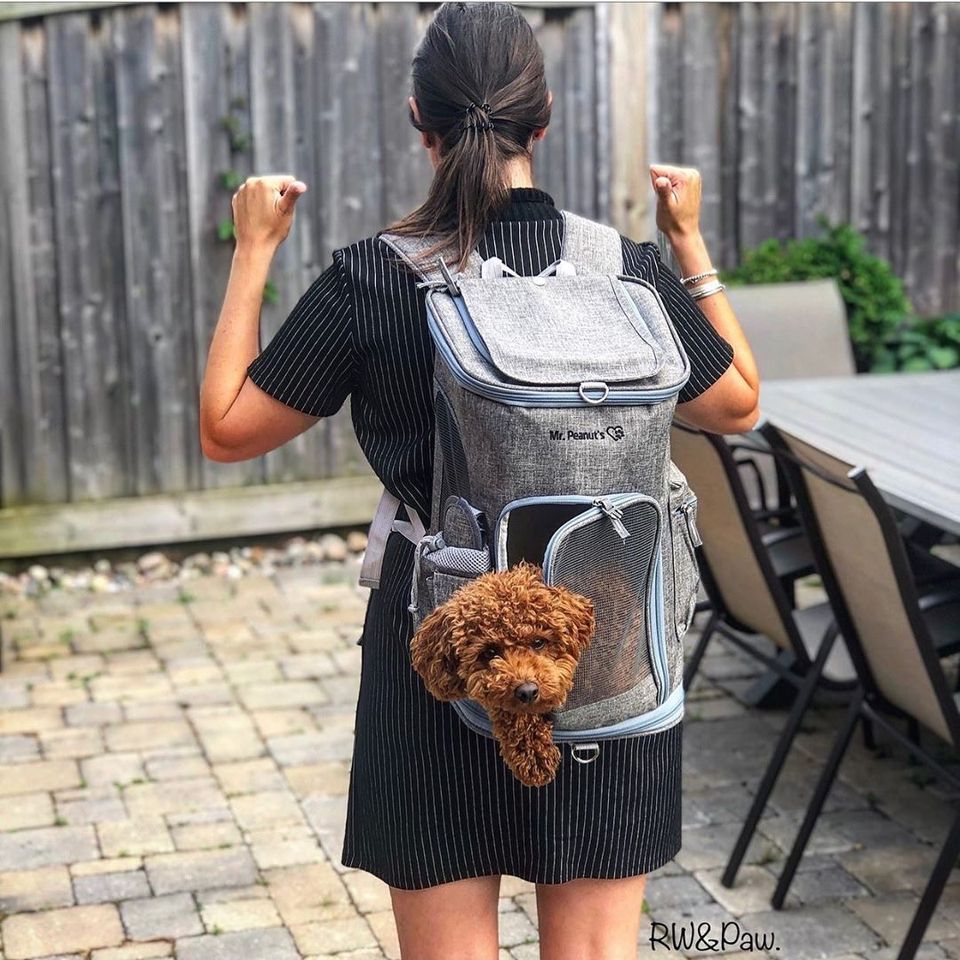 Mr. Peanut's Pet Carriers Facebook ad