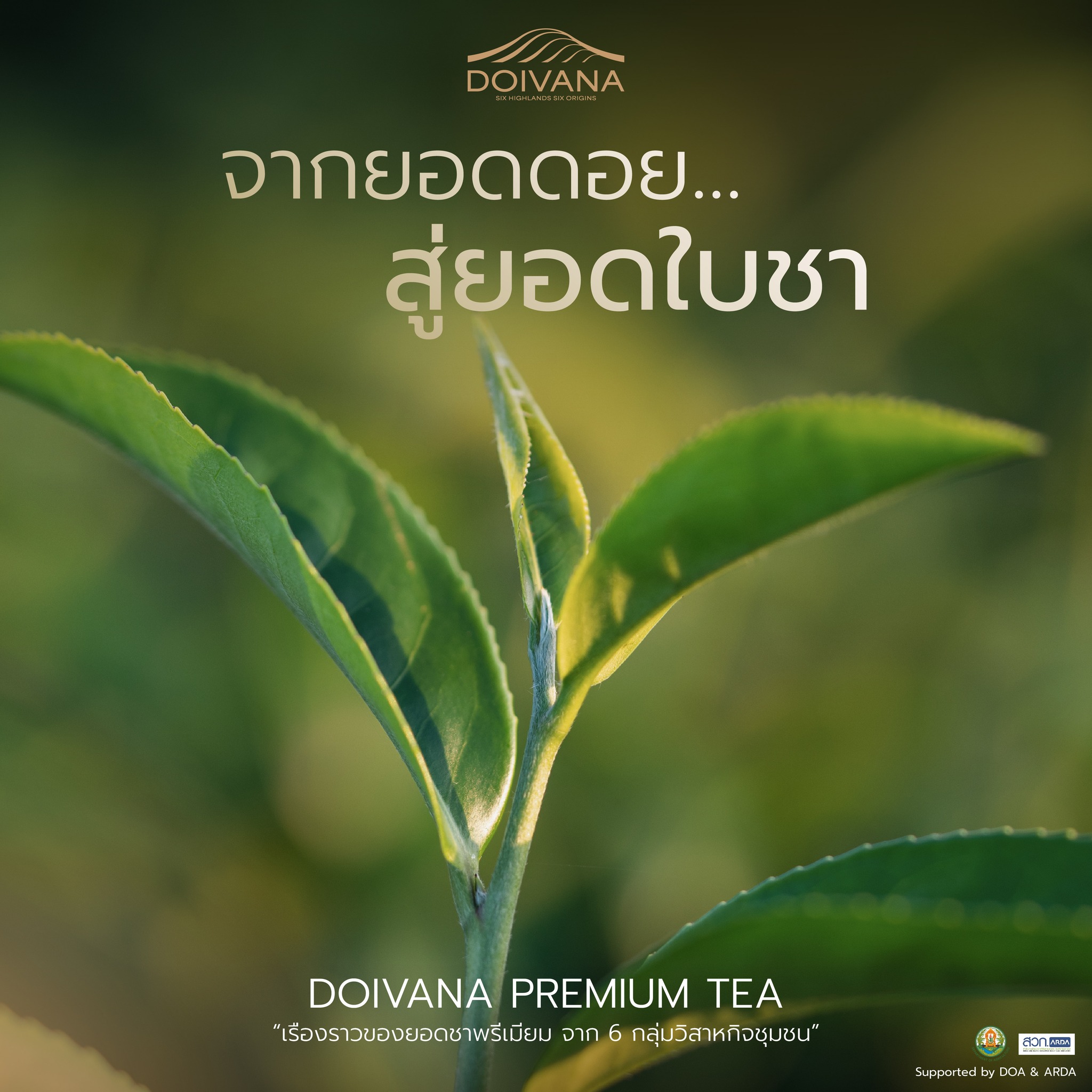 Doivana Premium Tea Facebook ad