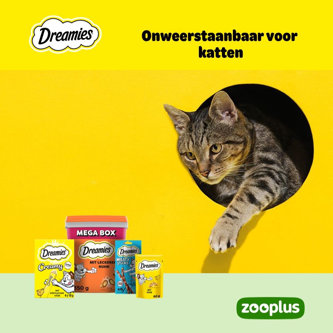 zooplus Facebook ad: DREAMIES