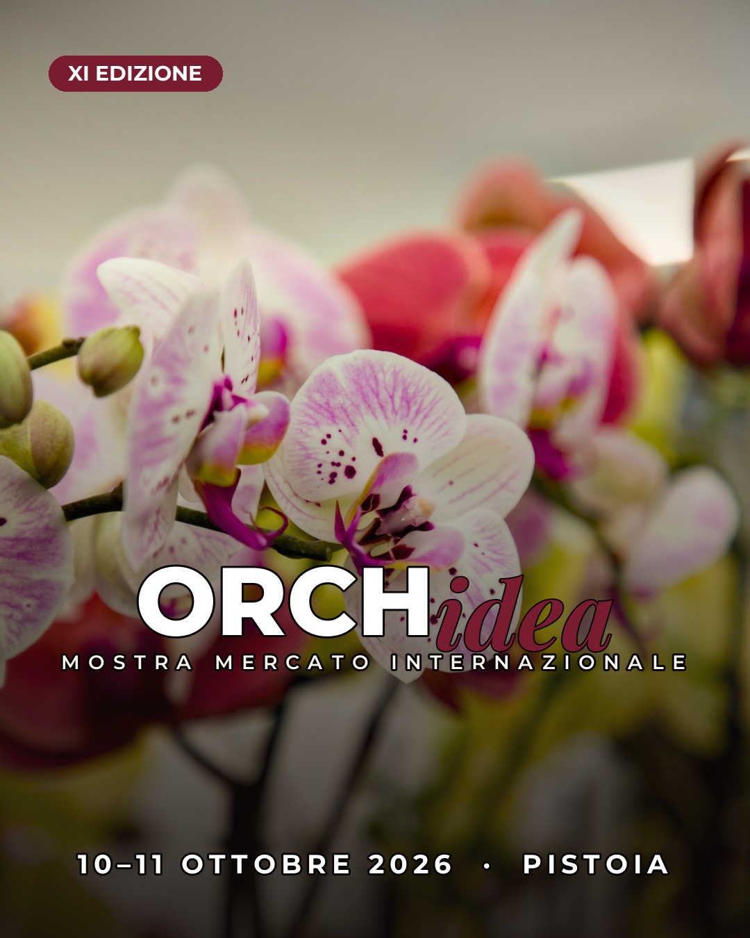 ORCHidea - Mostra Mercato Facebook ad: Chat in Messenger