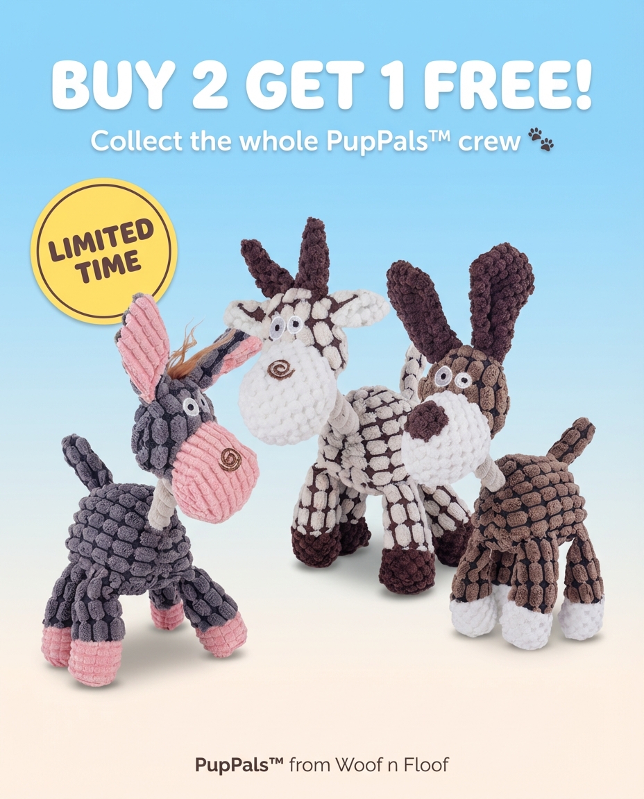 Woof n Floof Facebook ad: Buy 2 Get 1 FREE
