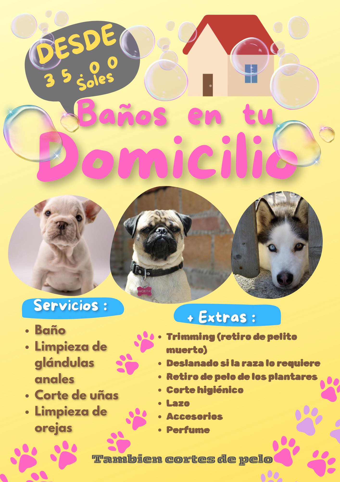 Pet Grooming a Domicilio Trujillo Facebook ad: Llegamos a tu hogar para brindarte un servicio…