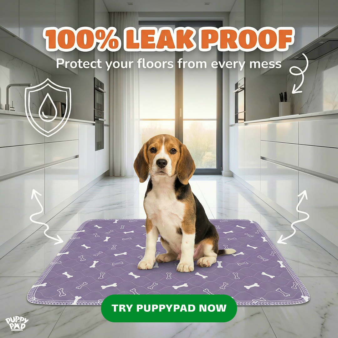 PuppyPad Facebook ad