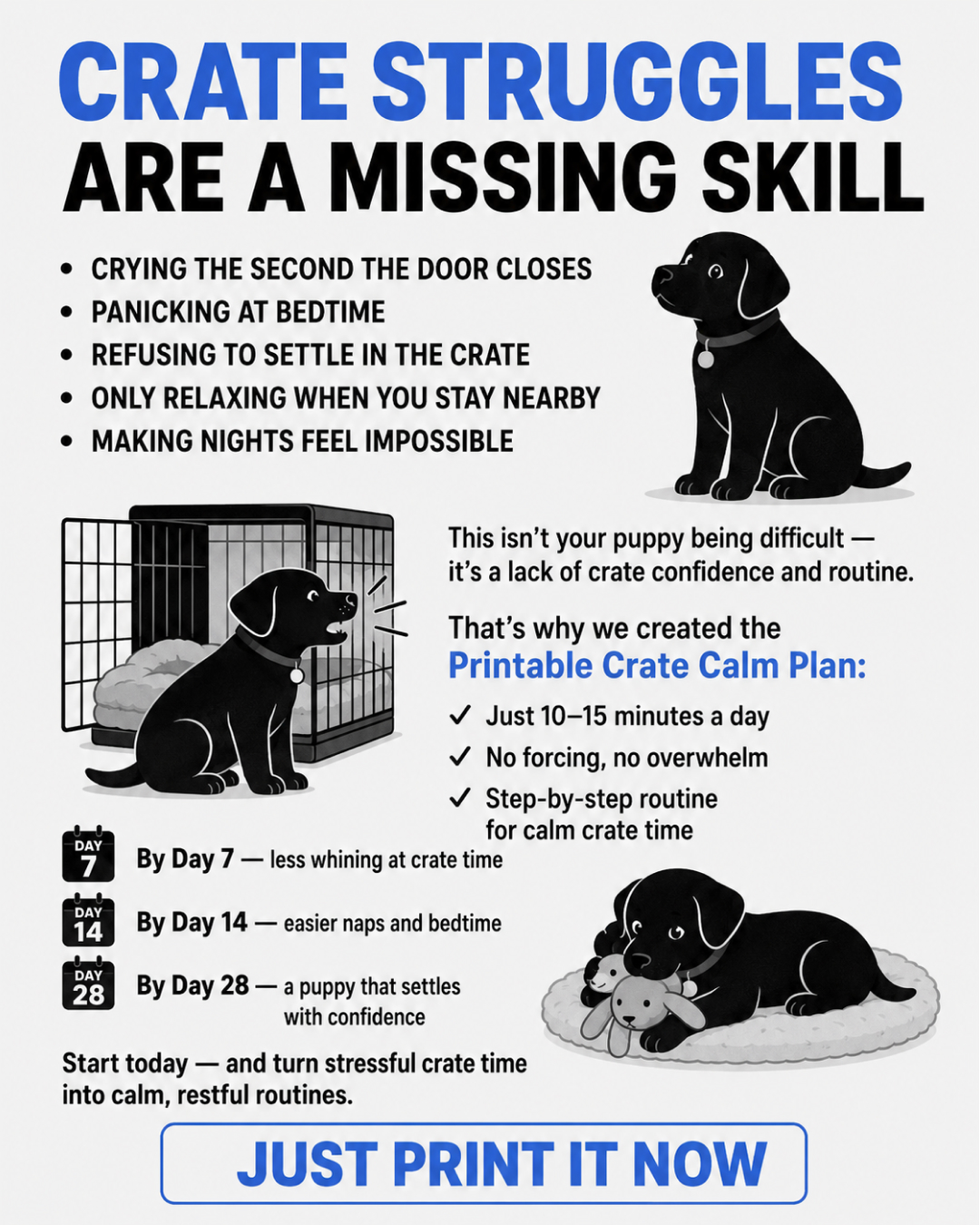 Ben Your Puppy Trainer Facebook ad