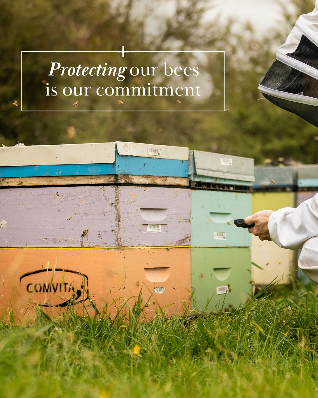 Comvita New Zealand Facebook ad