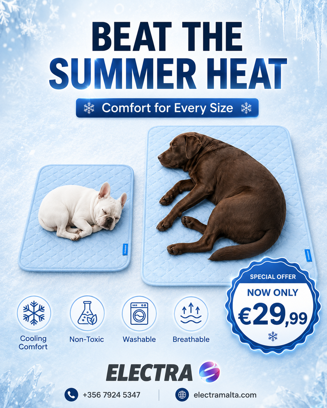 Electra Facebook ad