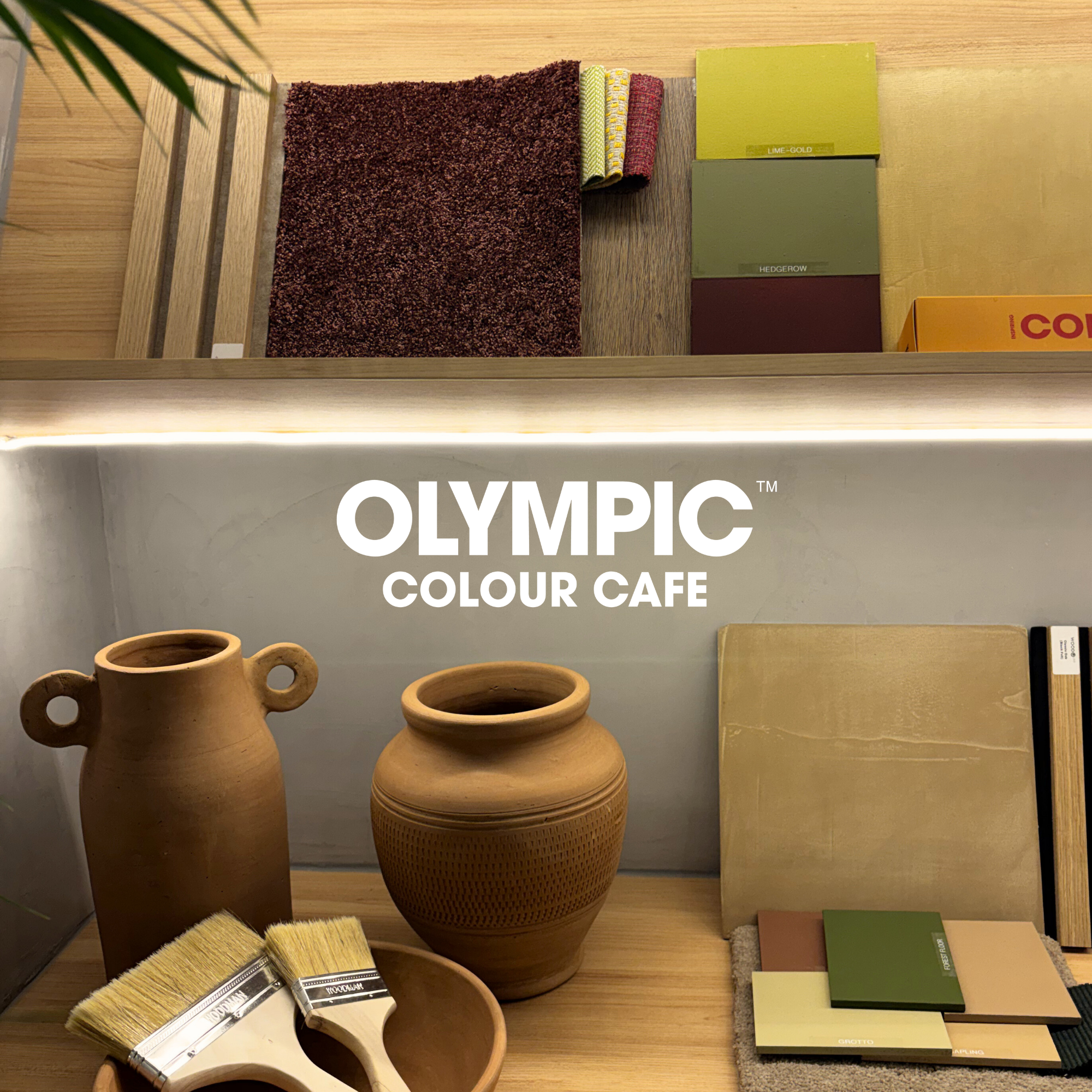 Olympic Paints Facebook ad: A South African first.