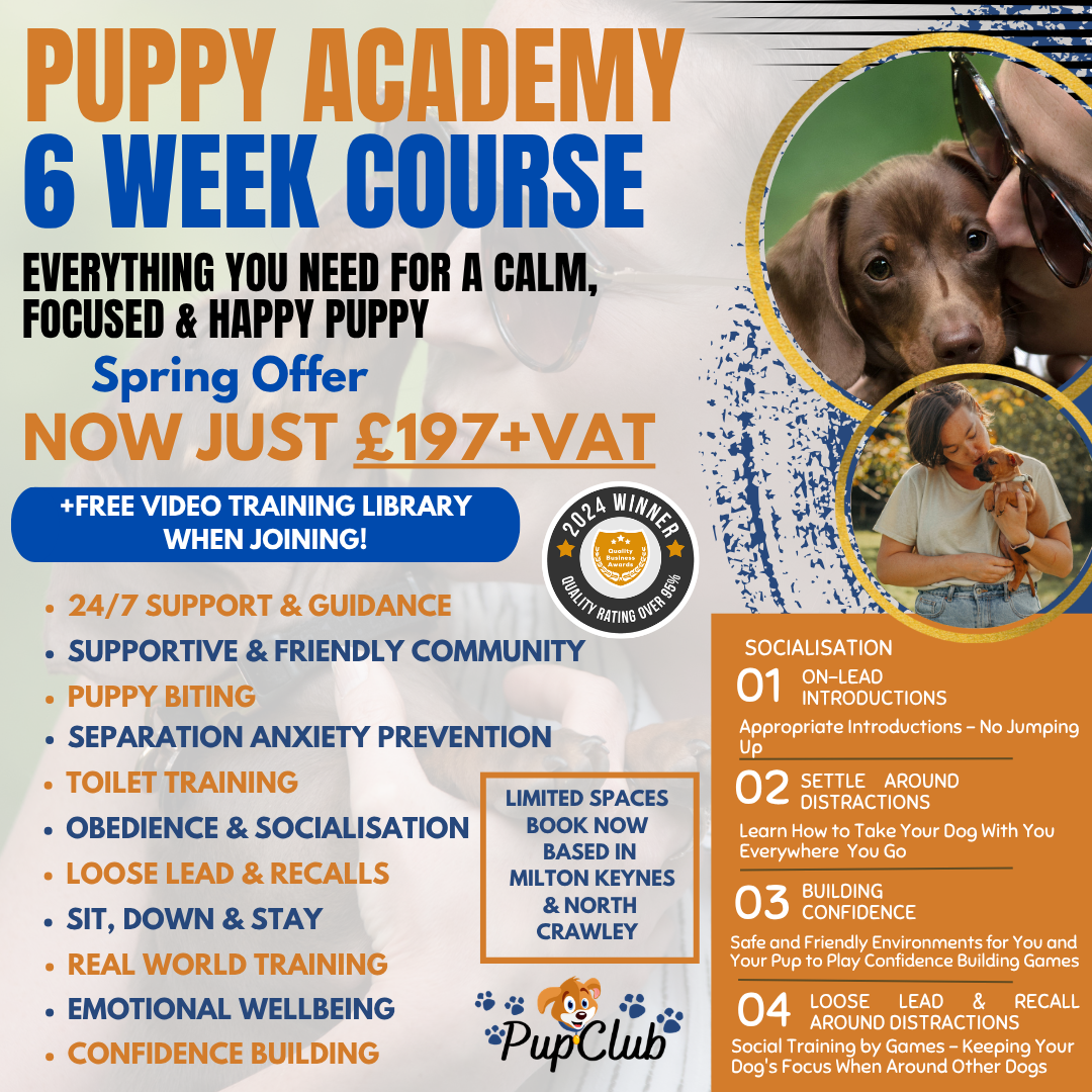 The Pup Club - Not Just for Puppies Facebook ad