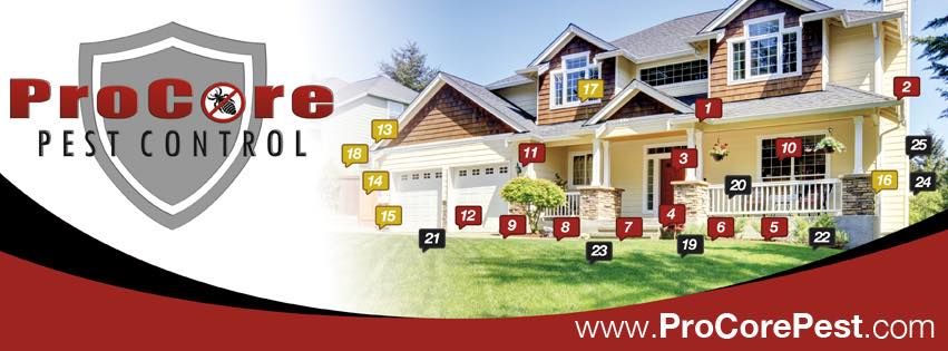 ProCore Pest Control Facebook ad: Start your Pest Service soon so you will…