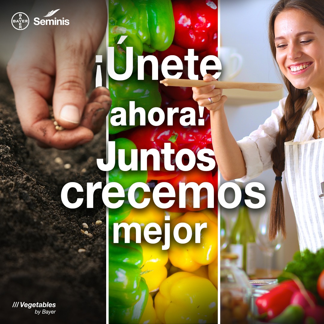 Seminis México Facebook ad: Si deseas conocer nuestras variedades, desempeño e…