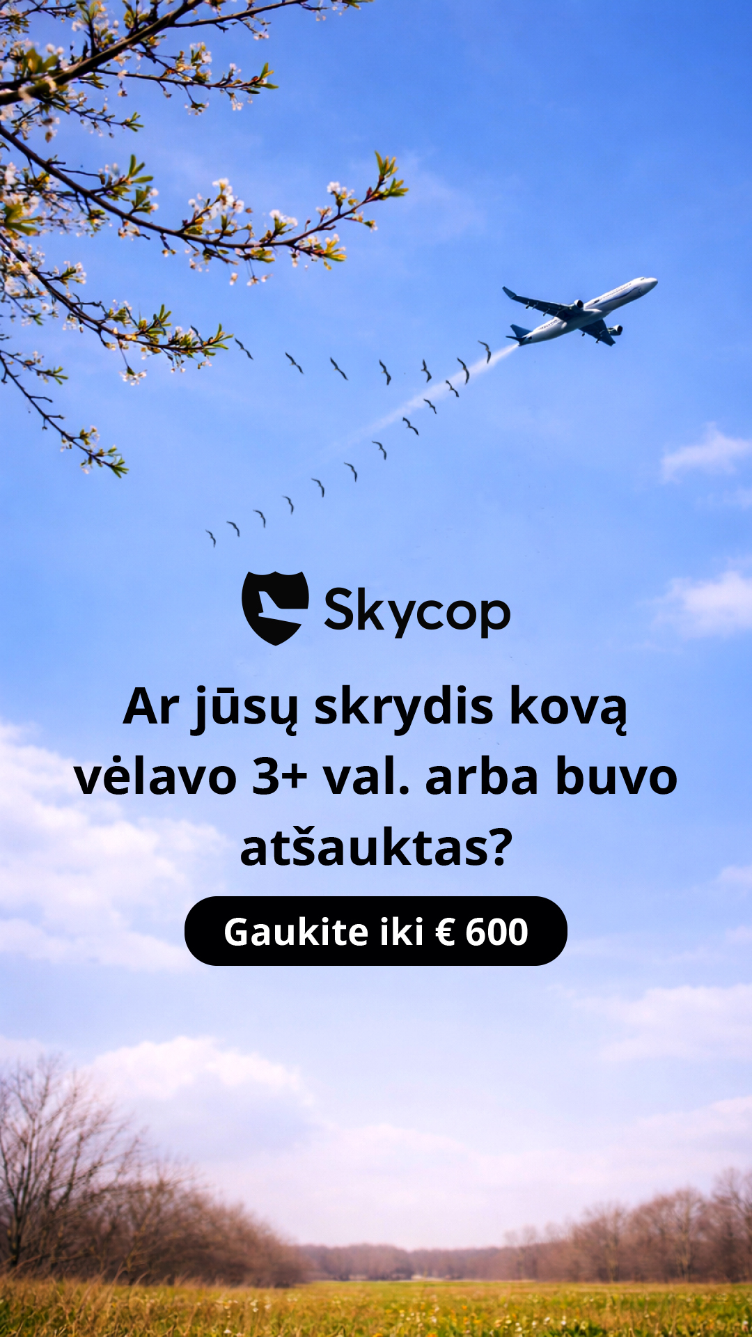 Skycop Facebook ad