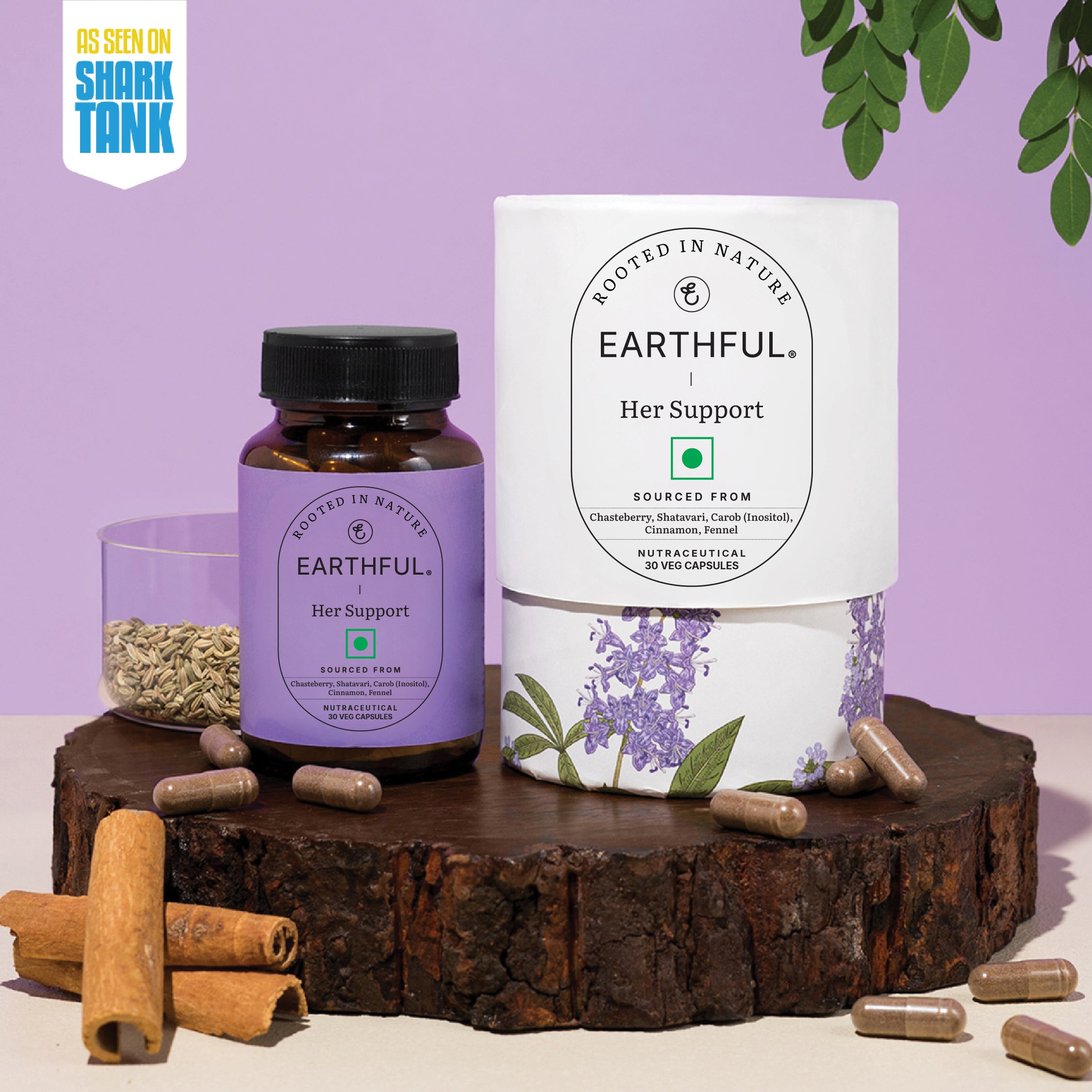 Earthful Facebook ad from Sep 17, 2026