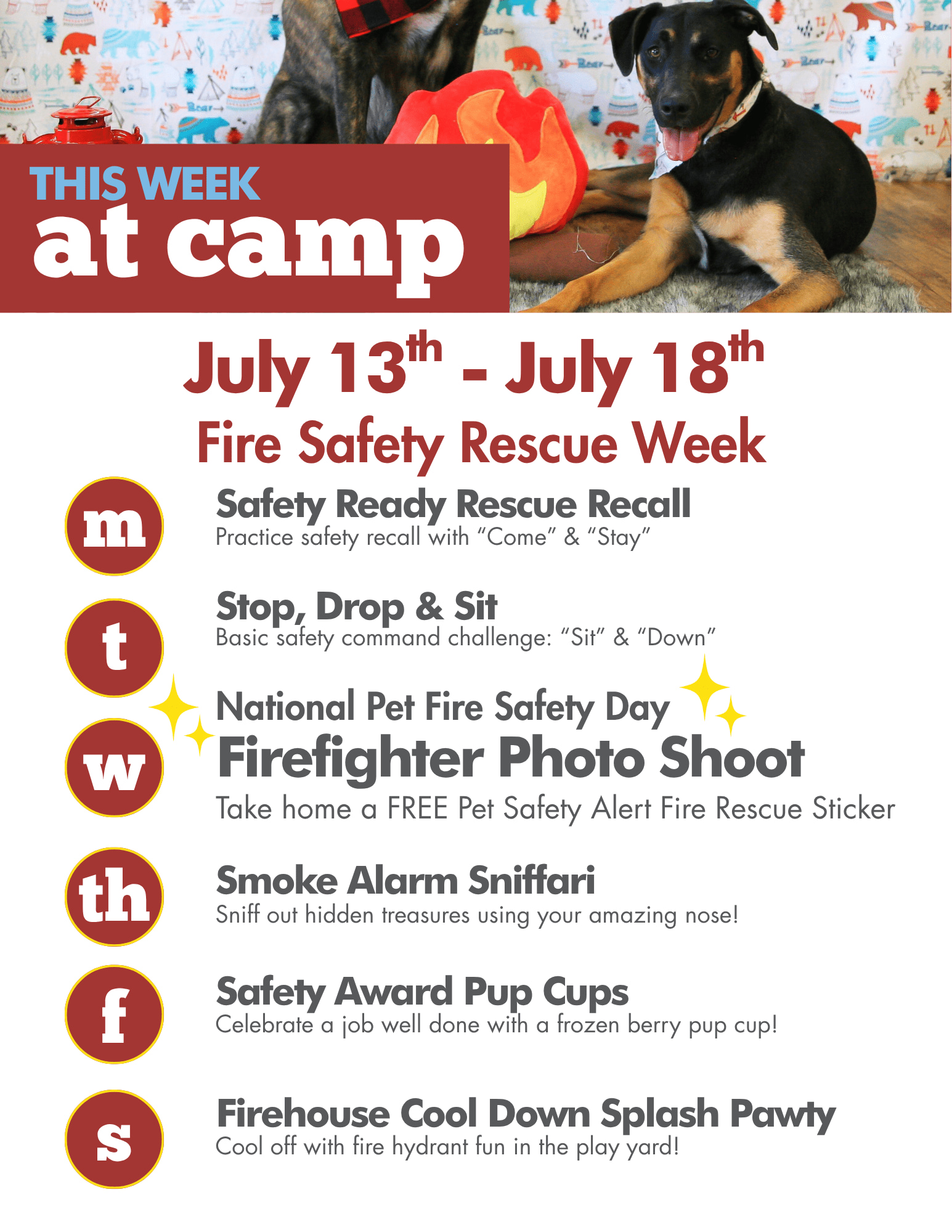 Camp Bow Wow Humble Facebook ad