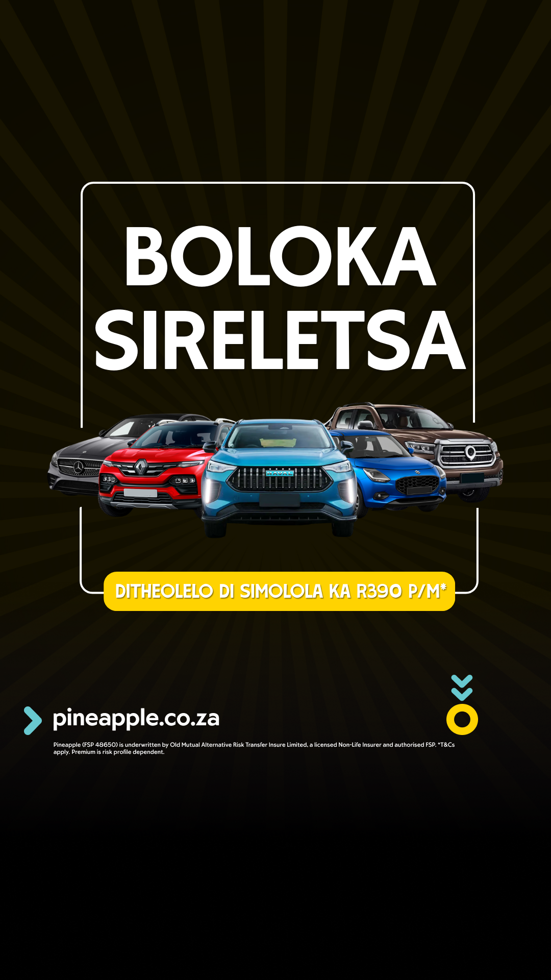 Pineapple Facebook ad