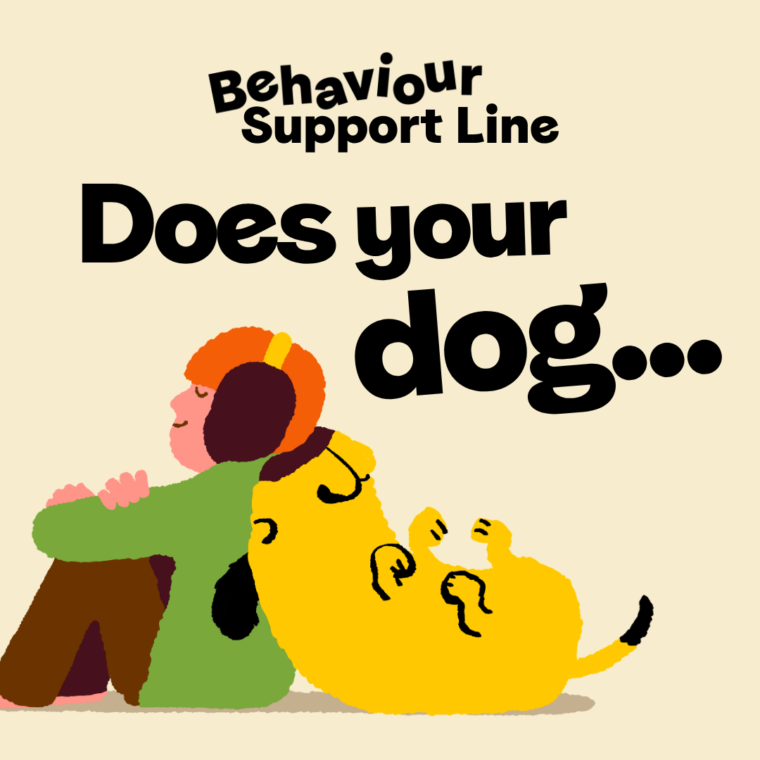 Dogs Trust Facebook ad