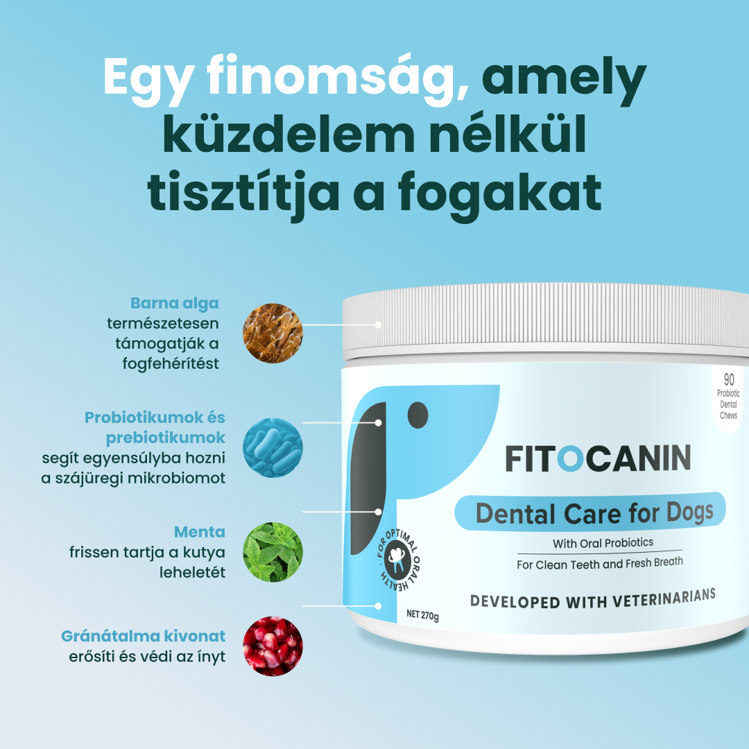 Vivocanin Facebook ad