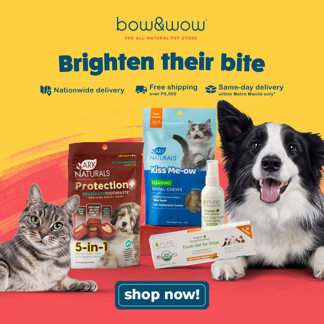 Bow & Wow – The All-Natural Pet Store Facebook ad