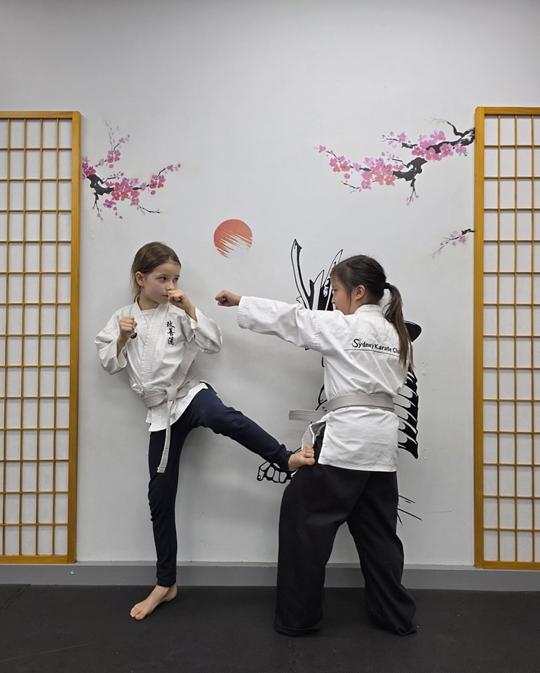 Sydney Karate Club Facebook ad