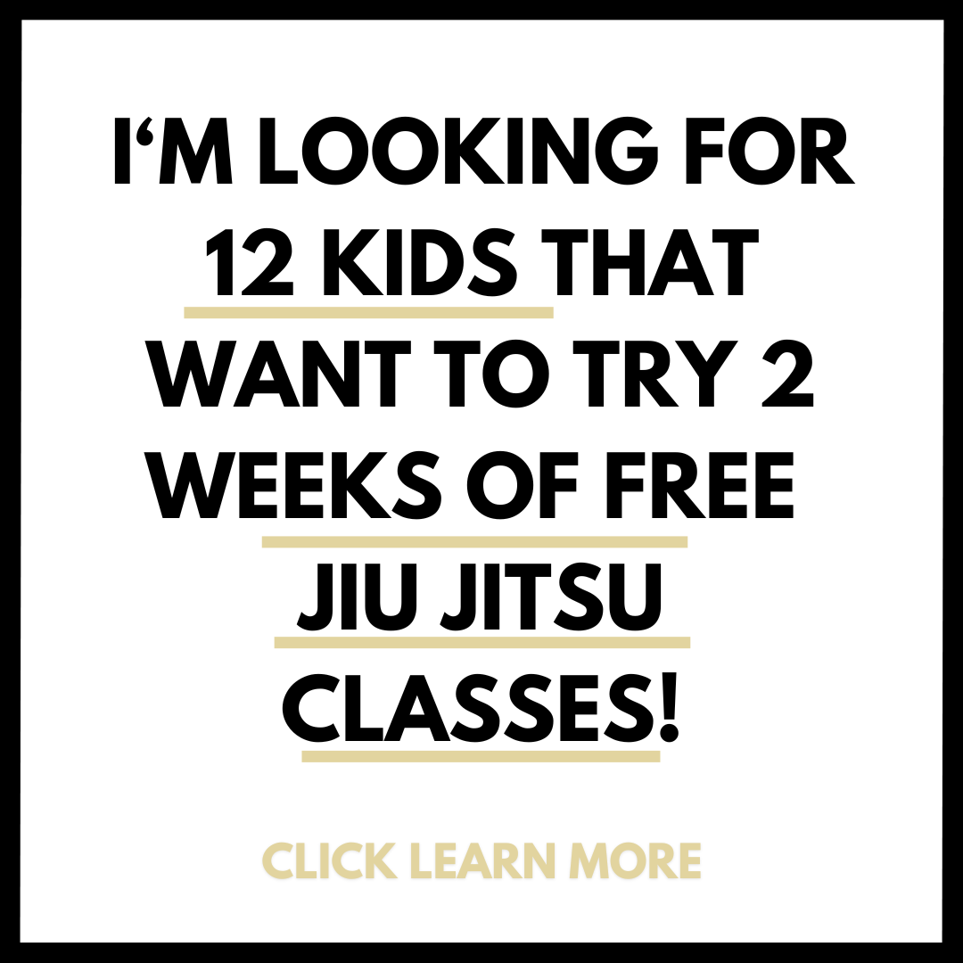 Elite Martial arts Australia Facebook ad
