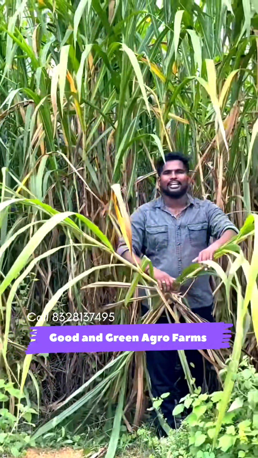 Govinda Greenn Organics Facebook ad: 4g at 90 paisa