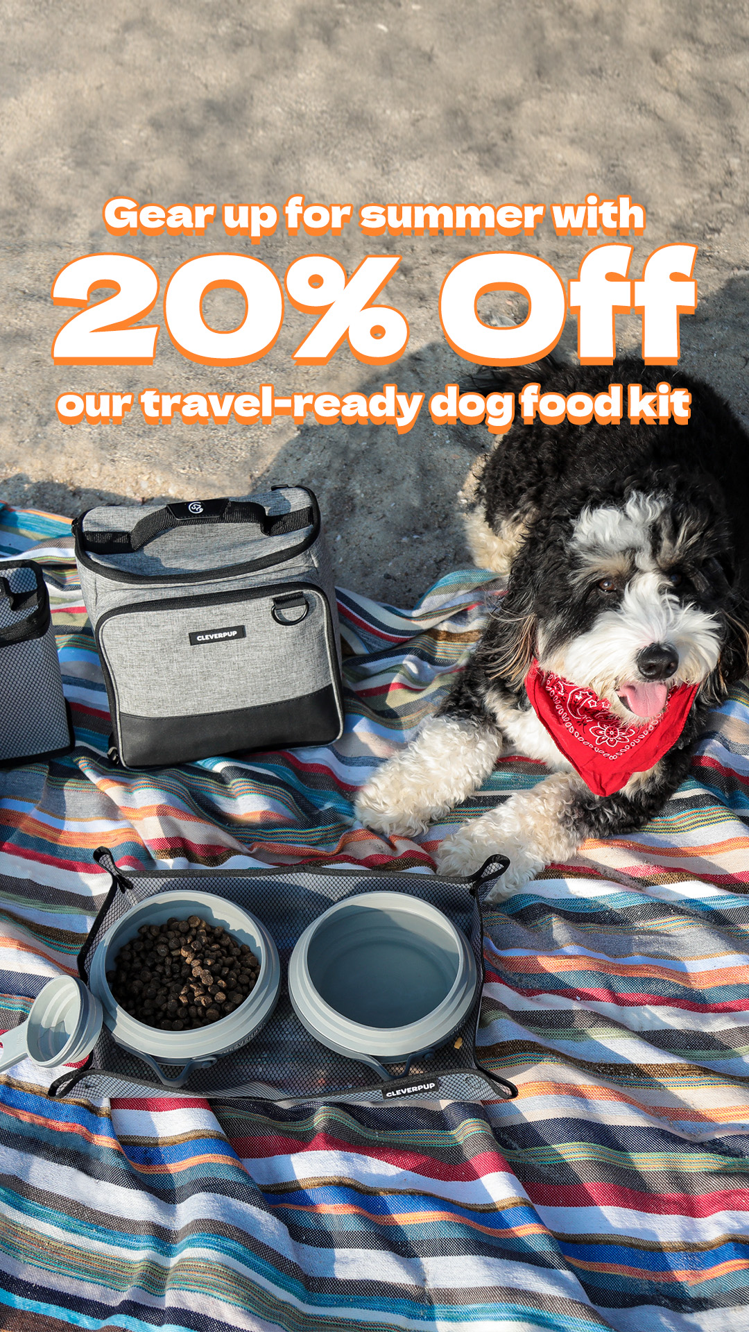 Cleverpup Facebook ad