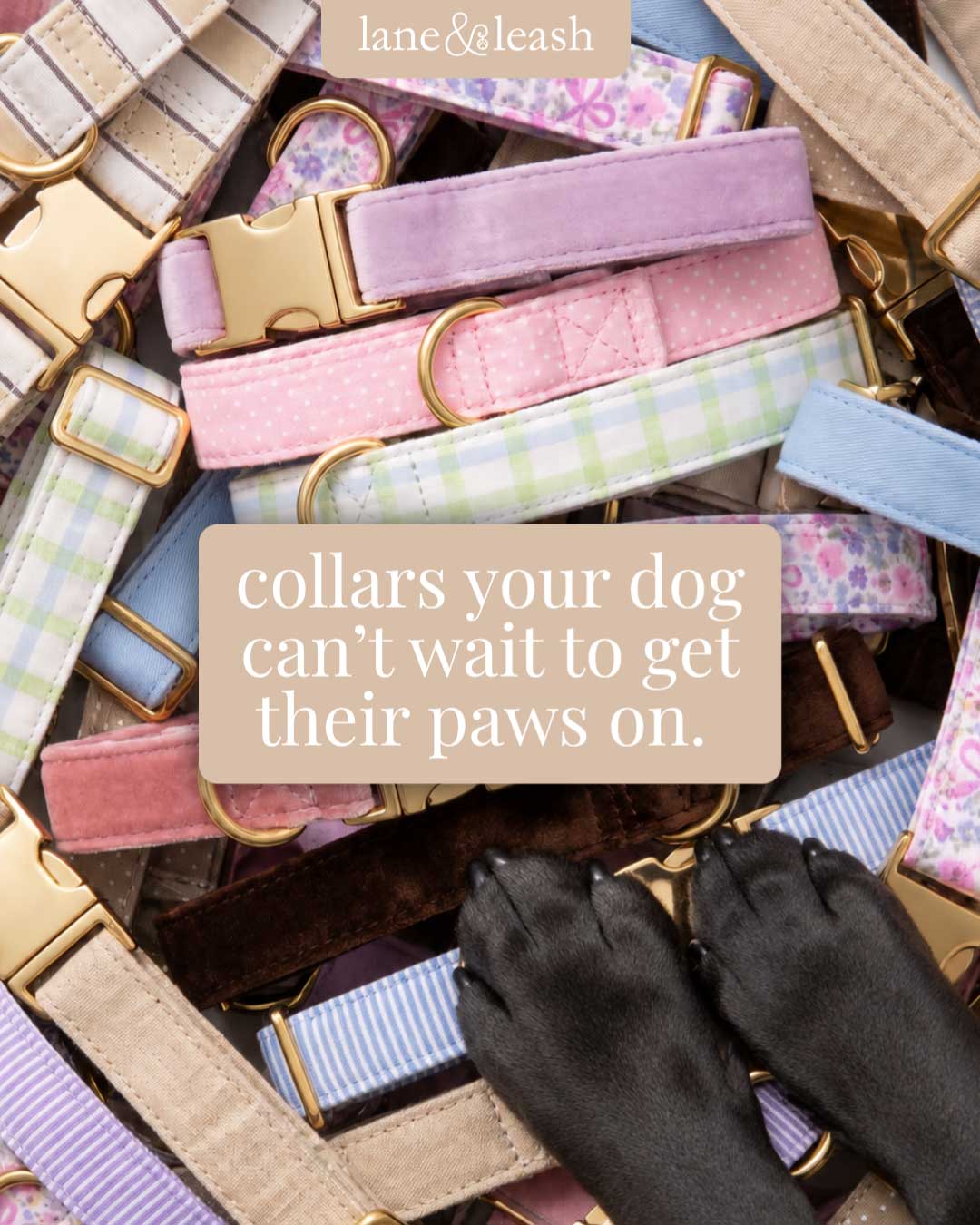 Lane&Leash Facebook ad