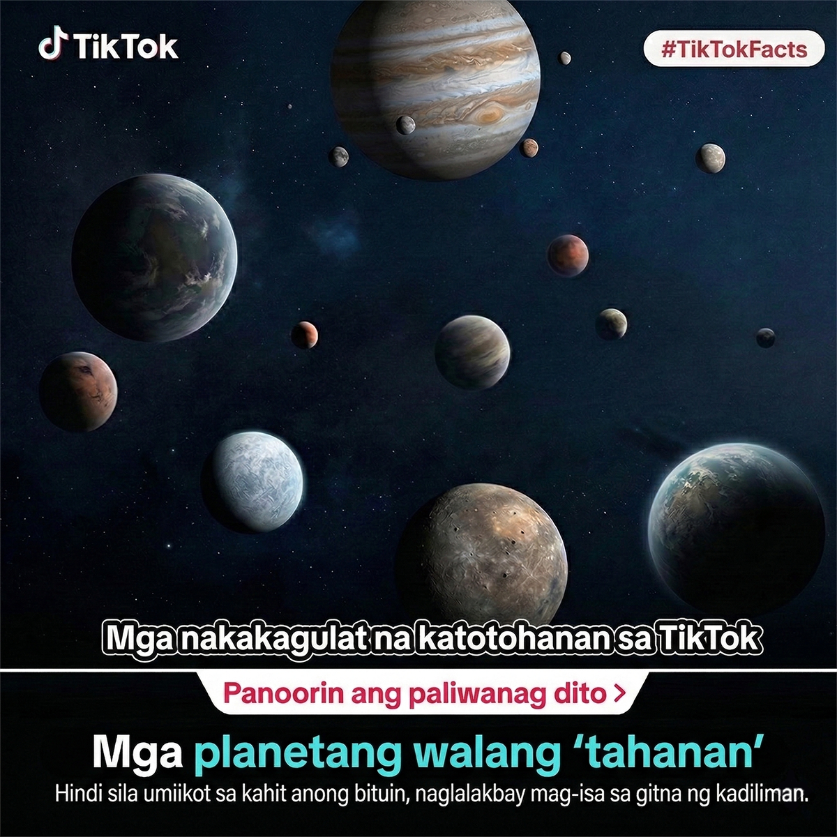 TikTok- Global Facebook ad