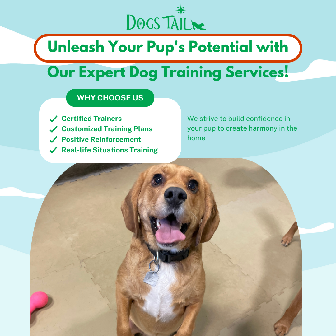 Dogs Tail Daycare Facebook ad