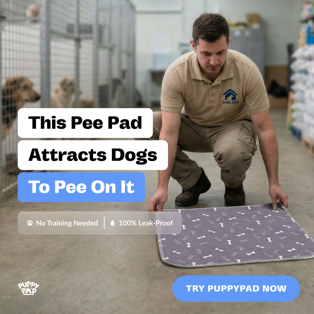 PuppyPad Facebook ad