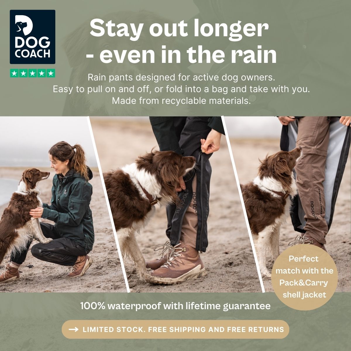 DogCoach Facebook ad