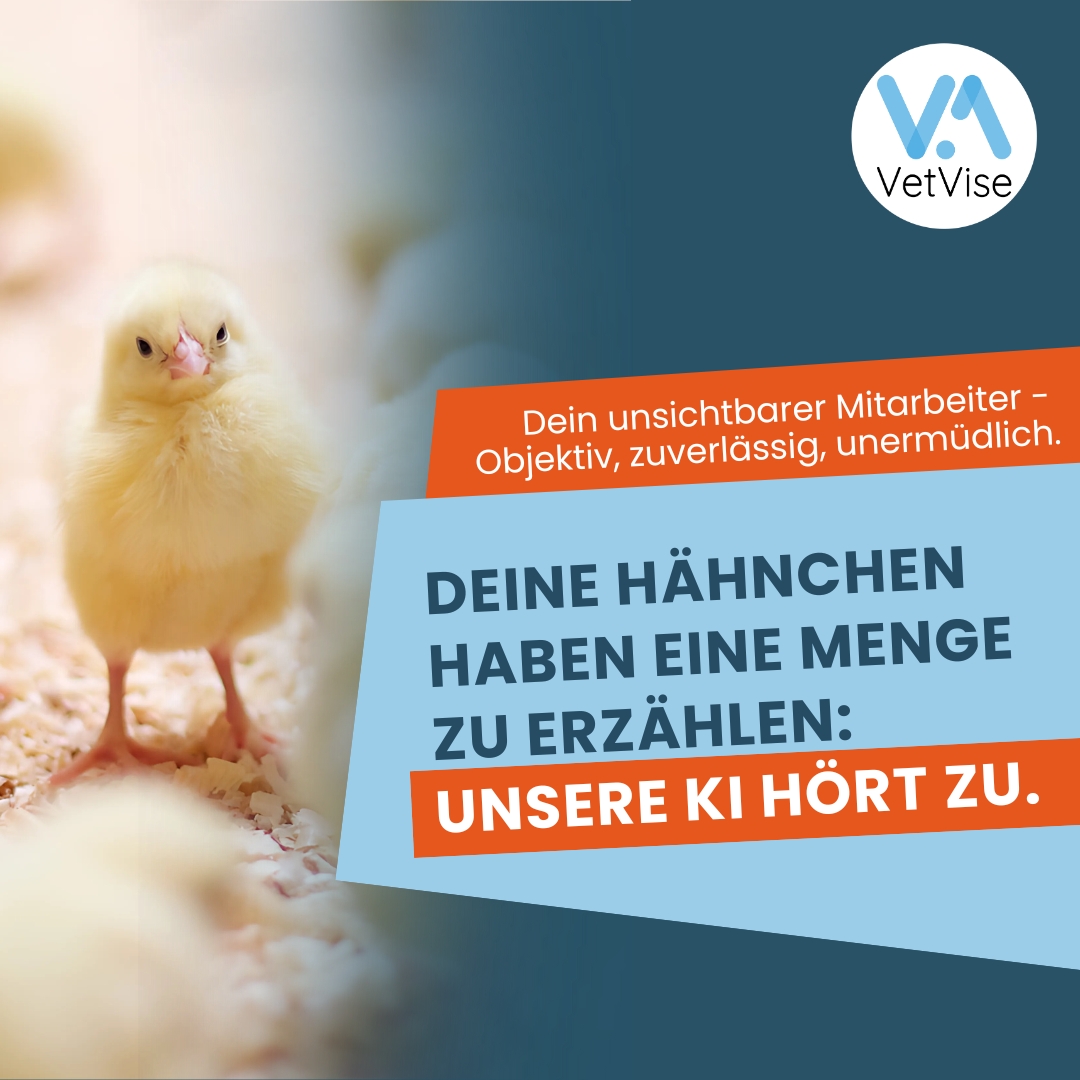 VetVise Facebook ad: Dein Stall rechnet sich neu!