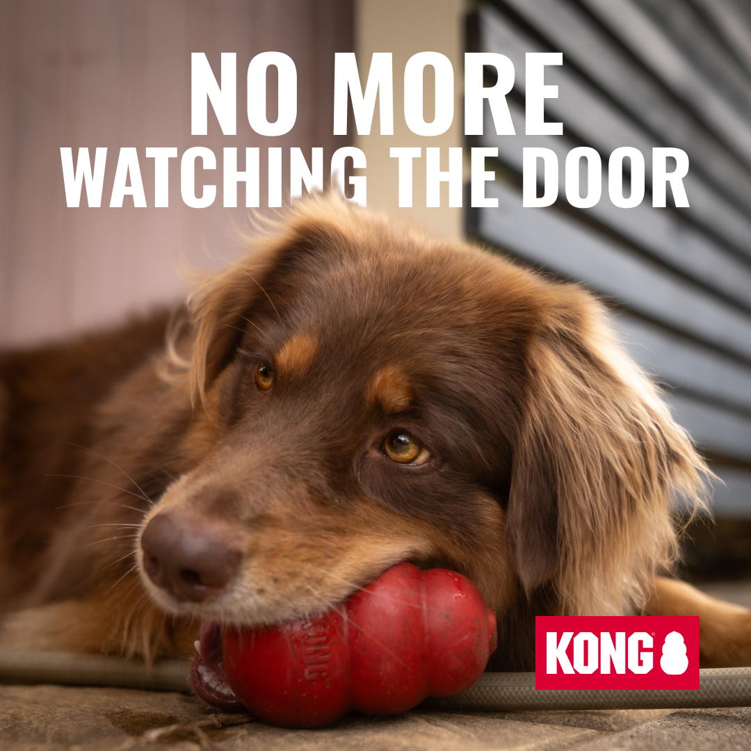KONG Facebook ad