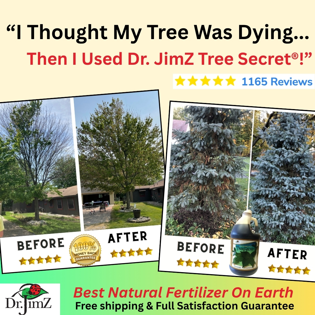 Dr. JimZ Facebook ad