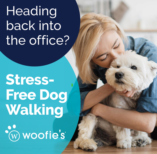Woofie's of Fairfax Facebook ad: Stress-Free Dog Walking