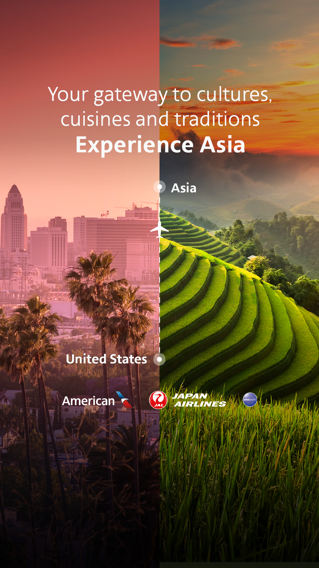 American Airlines Facebook ad