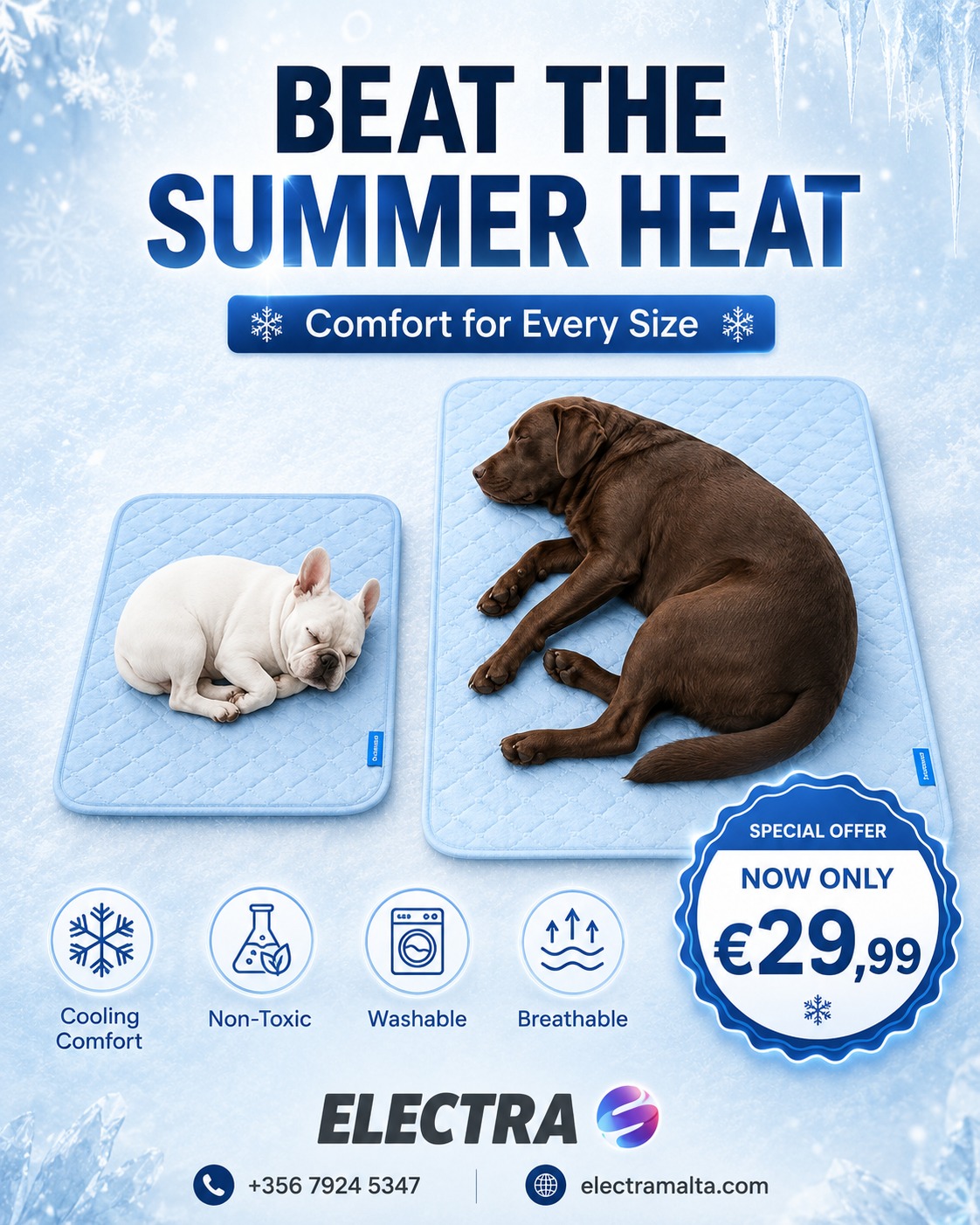 Electra Facebook ad